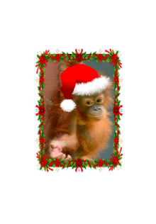 Season’s Greetings & A Happy 2017